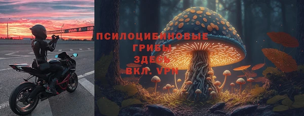 трава Баксан